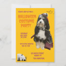 Recherche de pirate halloween invitations Drôle