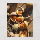 Recherche de couleur marron cartes postales Coloré