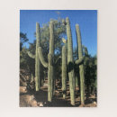 Recherche de saguaro puzzles Cactus