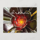 Recherche de succulente cartes postales Cactus