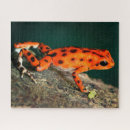 Recherche de poisson rouge puzzles Animal