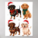 Recherche de chien de teckel posters Noël