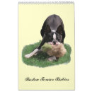 Recherche de boston terrier calendriers Chiot