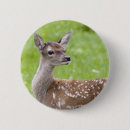 Recherche de faon badges Animaux