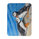 Recherche de oiseau macareux magnets Faune