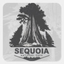 Recherche de forêt de séquoia autocollants Travel