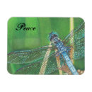 Recherche de libellules magnets Pour tous