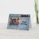 Recherche de hippopotames vœux cartes Animal
