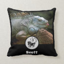 Recherche de reptile coussins Iguane