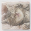 Recherche de personne chat de dessous de verres Animal