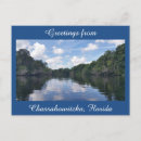 Recherche de salutations floride cartes postales Nature