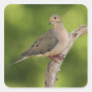 Recherche de profondeur de champ autocollants Oiseau