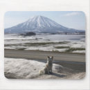 Recherche de shiba inu tapis souris Neige