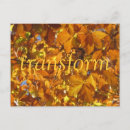 Recherche de transformer cartes postales Photographie