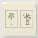 Recherche de mini dessous de verres Botanique