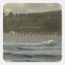 Recherche de pacifique autocollants Tropical