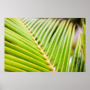 Recherche de ecologie art Éco
