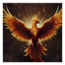 Recherche de poussins posters Pour tous