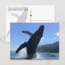 Recherche de bosse cartes postales Alaska