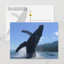 Recherche de baleines cartes postales Baleine à bosse