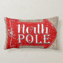 Recherche de pôle nord coussins Hiver