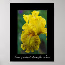Recherche de iris fleur posters Jaune