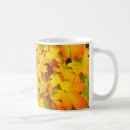 Recherche de changeants tasses Saisons changeantes