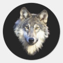 Recherche de portrait loup autocollants Sauvage
