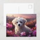 Recherche de cleves cartes postales Clever