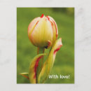Recherche de bourgeon cartes postales Floral