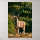 Recherche de easter decor Afrique