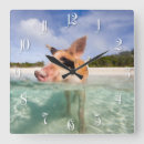 Recherche de cochon horloges Animal