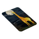 Recherche de ciel clair magnets Lune
