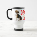 Recherche de chiot de beagle tasses Beagles