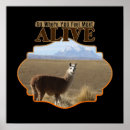 Recherche de llama posters Travel