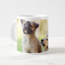 Recherche de chiot berger allemand tasses Animal