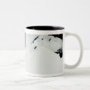 Recherche de côte tasses Les masses continentales