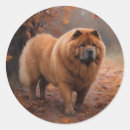 Recherche de chow chow autocollants Animal