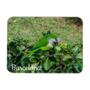 Recherche de perroquet vert magnets Oiseau