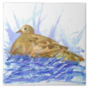 Recherche de colombe carreaux Faune