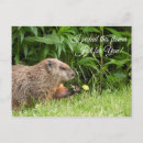 Recherche de marmotte mignonne cartes postales Animal