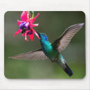 Recherche de colibris tapis souris Pour tous