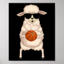 Recherche de rebond posters Streetball