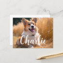 Recherche de amoureux des animaux cartes postales Pour elle