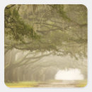 Recherche de savannah autocollants Personne