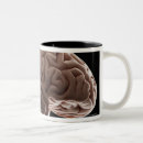 Recherche de tir de studio tasses Horizontal