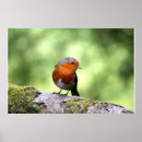 Recherche de forêt rouge posters Pour eux
