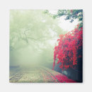Recherche de fer magnets Photographie