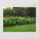 Recherche de ampoule cartes postales Floral