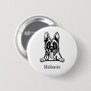Recherche de malinois badges Dog
